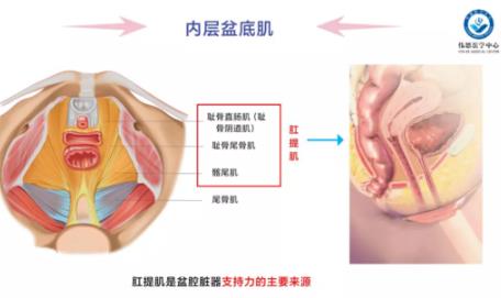 送“新年礼包”啦：红河州第三人民医院开展盆底康复惠民活动！