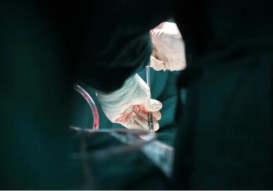 无影灯下的生命绿衣