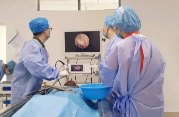 红河州第三人民医院医师到红河卫生职业学院开展解剖培训