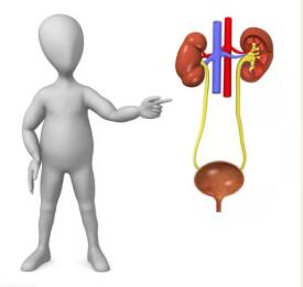 带你了解红河州第三人民医院“一站式”肾动态显像