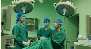 红河州三人民医院成功实施脾脏良性肿瘤腹腔镜下脾脏部分切除术