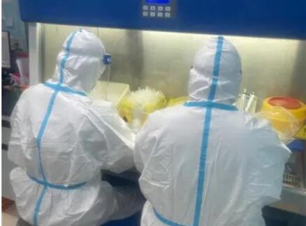 号角吹响 立即出征：最美医护工作者朱顺挥一年三次奔赴边境抗疫