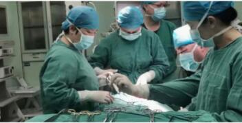 红河州第三医院耳鼻咽喉-头颈外科开启日间手术 24小时内就能出院