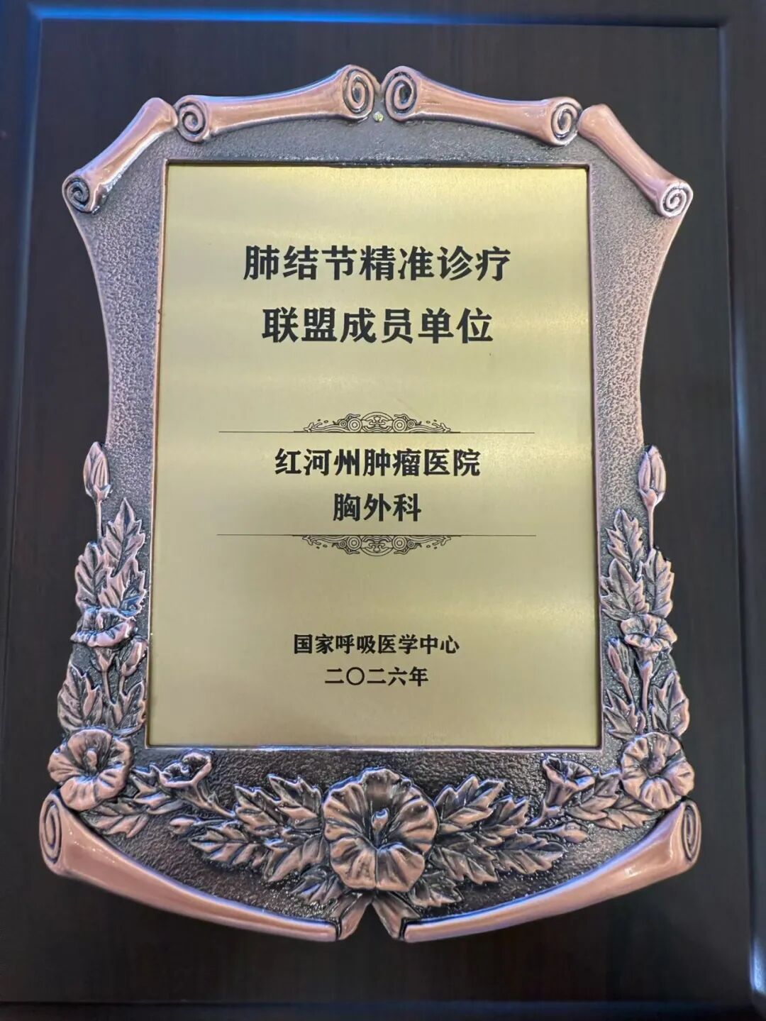 【活力卫健】双喜临门:红河州肿瘤医院胸外科实力再获双重认可！