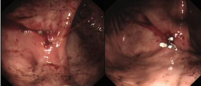 1543220759274180.jpg 5.jpg