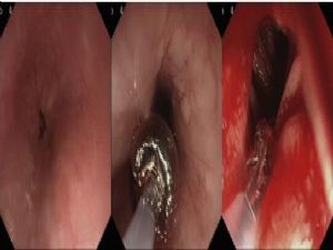 1543220765284089.jpg 6.jpg