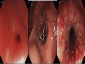 1543220771115700.jpg 7.jpg