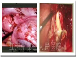 1543224190273881.jpg 4.jpg