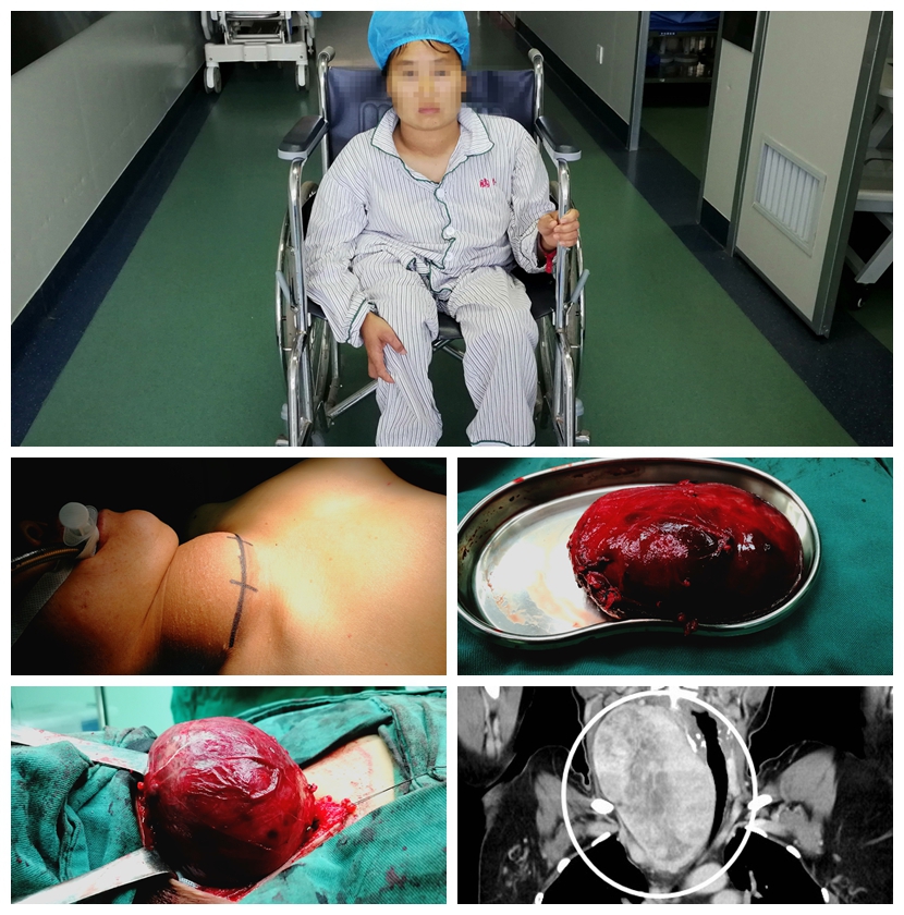 1543386384222401.jpg NeoImage_副本.jpg