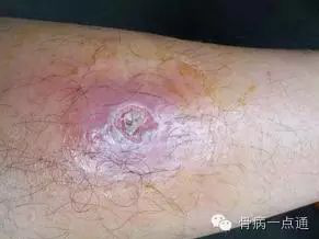 1547707566316643.png 5.png