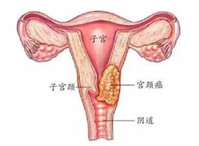 1587007114684987.jpg 微信截图_202004161106022.jpg