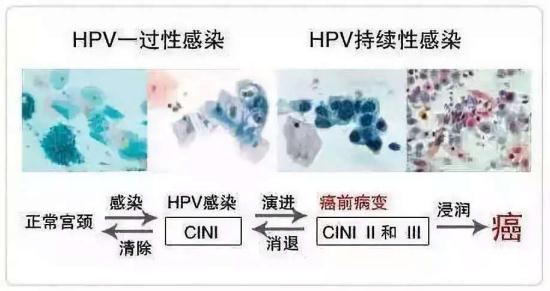 1587007129985066.jpg 微信截图_20200416111638.jpg