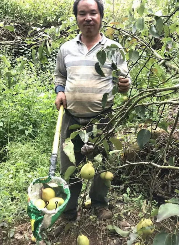 1602322120912968.png image.png