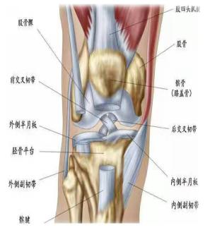 1616395946724634.jpg 图片1.jpg