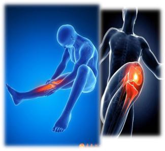 1616395971963417.jpg 图片2.jpg