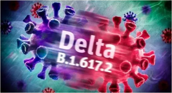 1628737273432596.png image.png