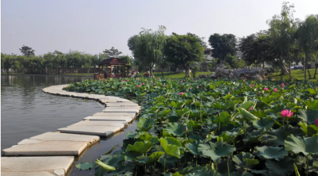 1633661181603628.png image.png