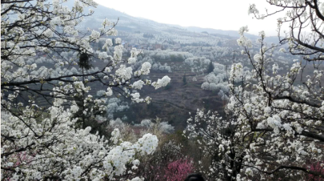 1633661206347701.png image.png