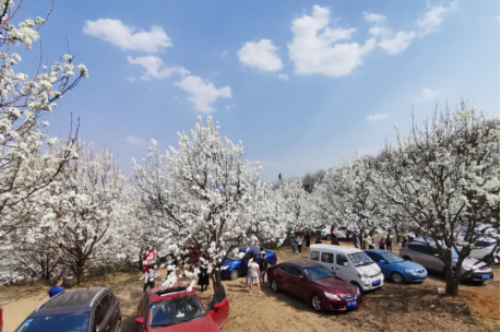 1633661217587535.png image.png