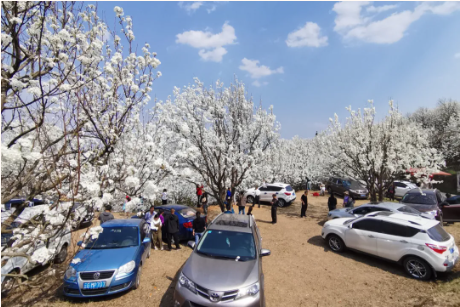 1633661238440252.png image.png