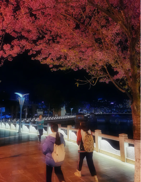 1633661338957529.png image.png