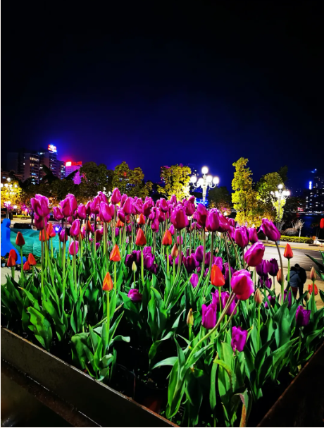 1633661356944495.png image.png