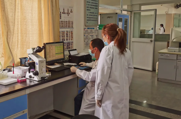 1633674951353247.png image.png