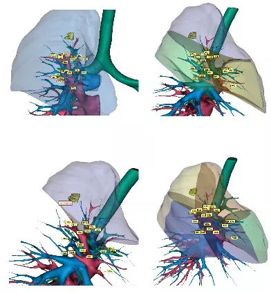 1634263304387577.png image.png