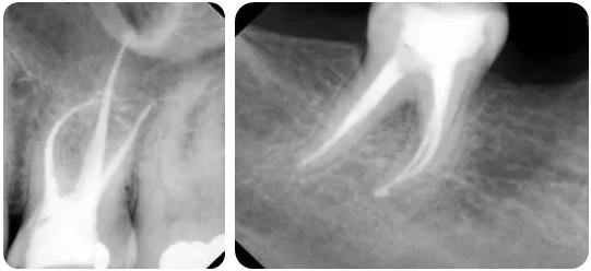 1644214894520557.png image.png