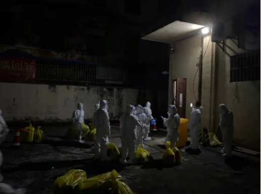 1645840170905355.png image.png