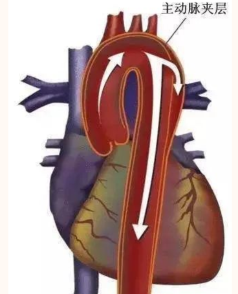 1648282879800651.png image.png