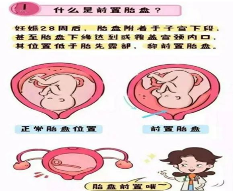 1648606759250466.png image.png