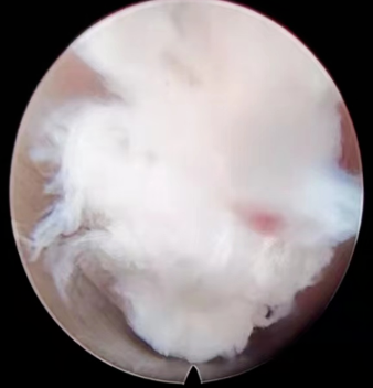 1652411113323548.png image.png