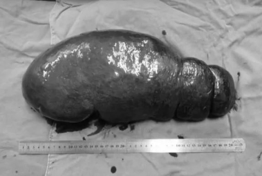 1654656093944316.png image.png