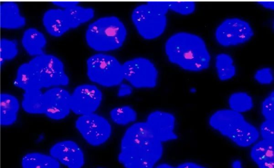 1656034404419305.png image.png