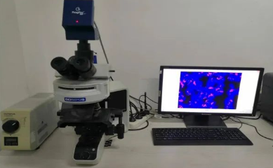 1656034413605196.png image.png