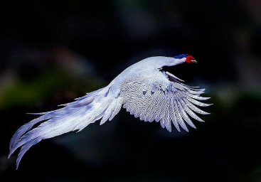 1657522619276994.png image.png