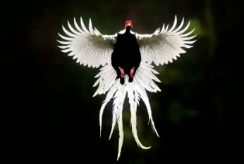 1659495739369173.png image.png