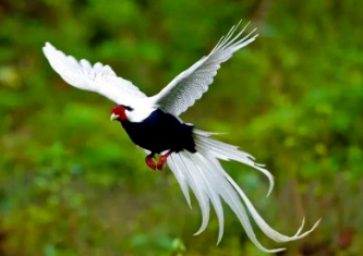 1659495748889709.png image.png