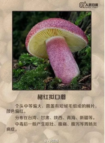 1663723524488898.png image.png