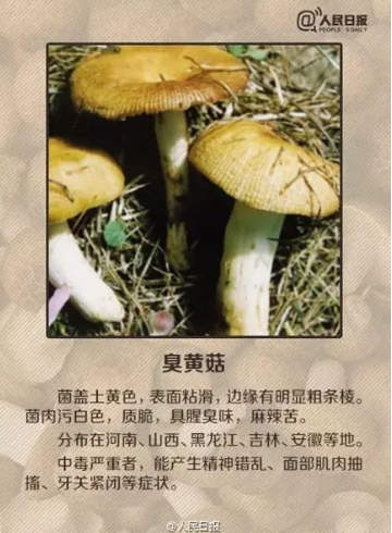 1663723530760594.png image.png