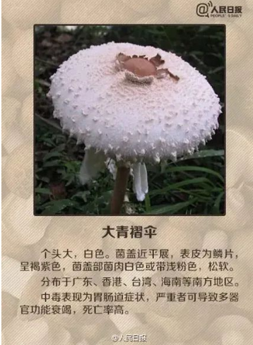 1663723553669029.png image.png