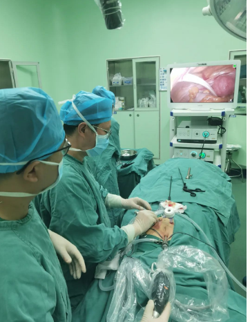 1663724230495332.png image.png