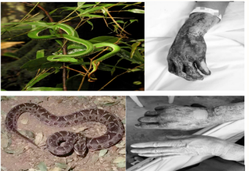 1664172770166019.png image.png