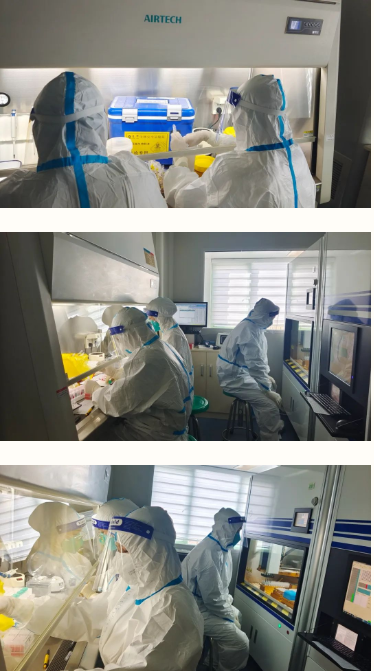 1666065047412011.png image.png