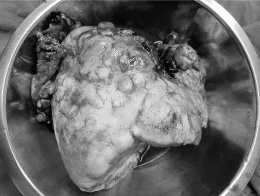 1670406013214753.jpg 2.jpg