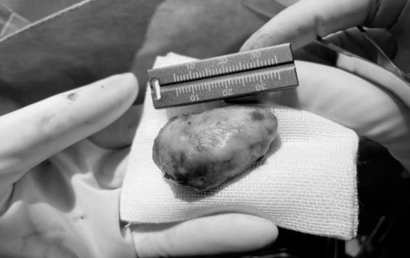 1675992375826761.jpg 3.jpg