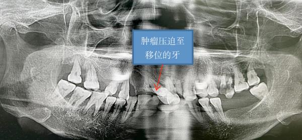 1675992389970635.jpg 4.jpg