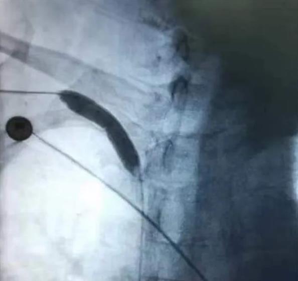 1681183392896371.jpg 0.jpg