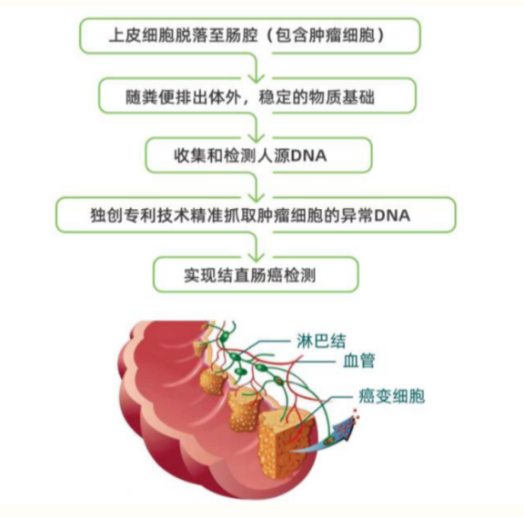 1688605759834001.png image.png